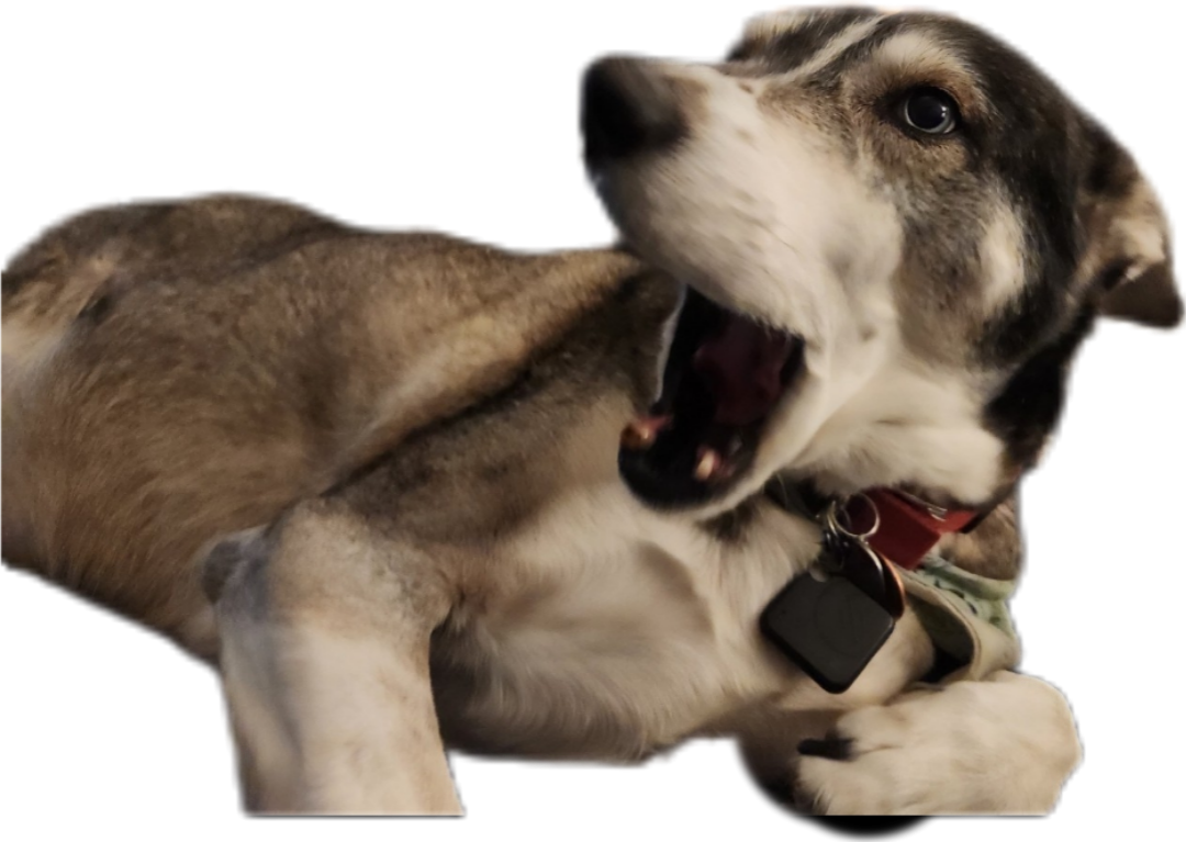 Rudy - Chief Security Officer, AKA Event Productions