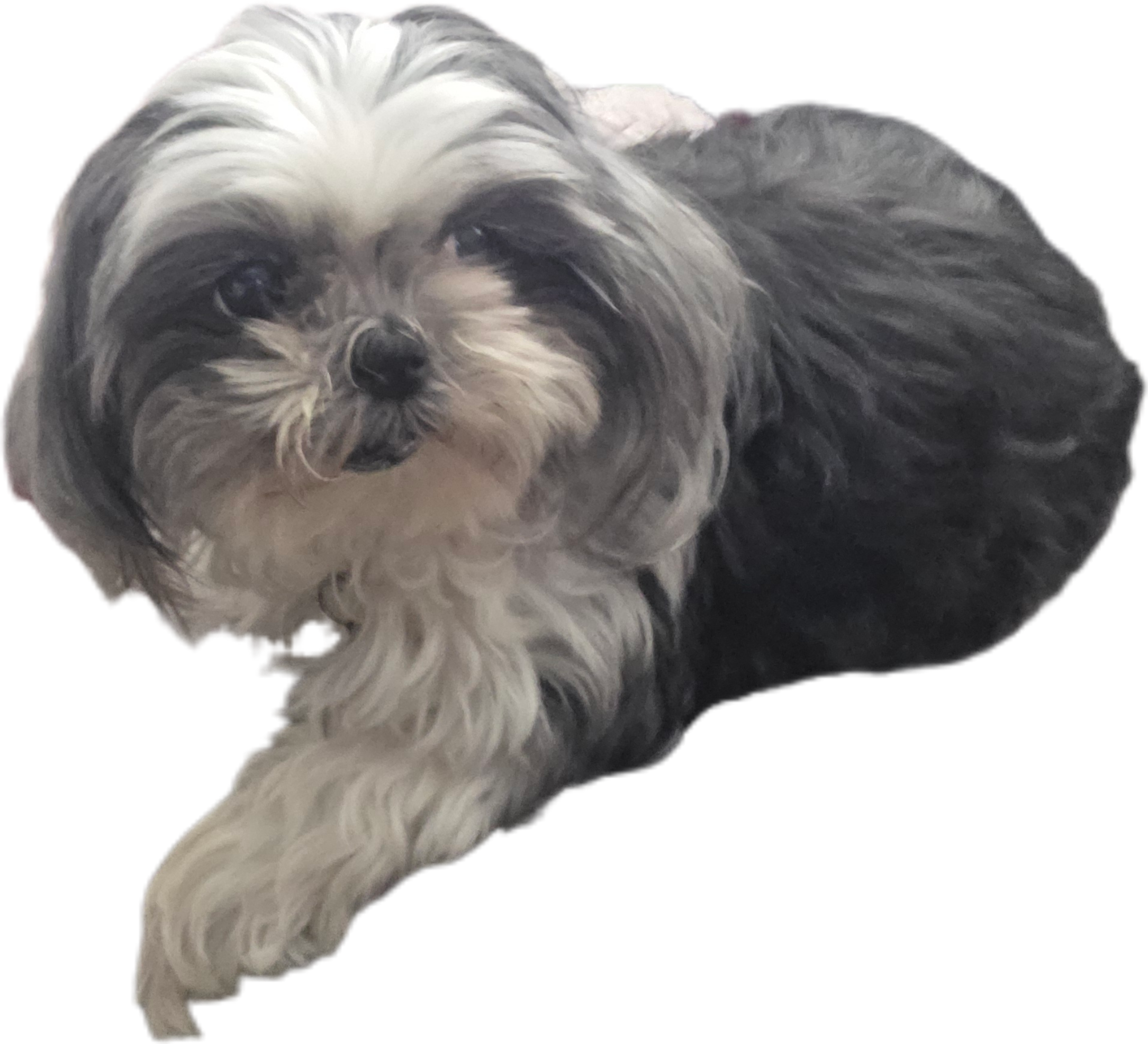 Scout - Head of HR, AKA Event Productions